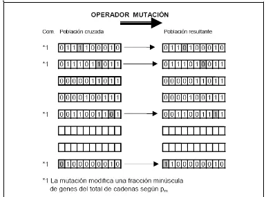 Fig.II.7-3 Mutación 