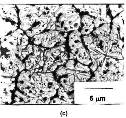 Fig.  4.1.- Estructuras dendríticas presentes en  las  matrices sin  refuerzo  a)  KK2  b)  KK3  c)  KK4