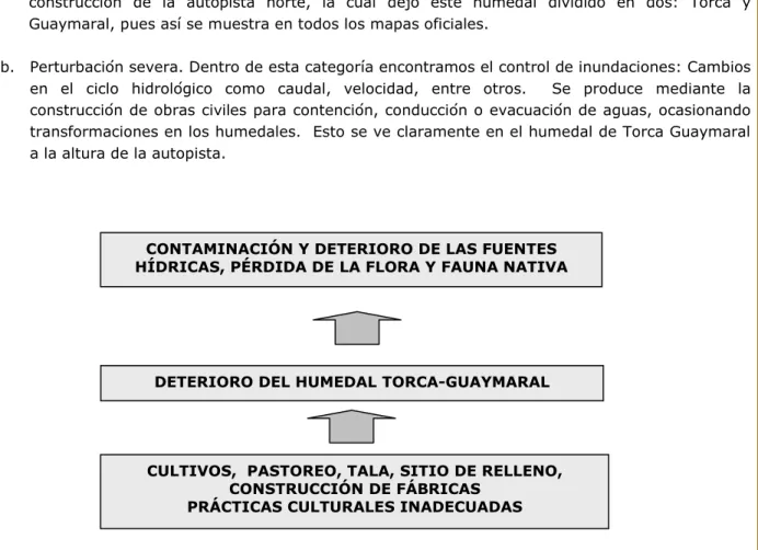 Figura 2. Árbol del problema de contaminación y deterioro del Humedal Torca Guaymaral    