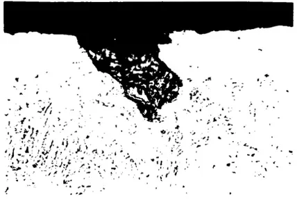 Fig. 2.12. Acero 4137, atacado con nital 2%. Se  observa una grieta ancha proco profunda, donde  igualmente se  &#34;atrapó&#34; óxido