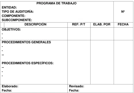 Cuadro Nº  3 Programa de trabajo 