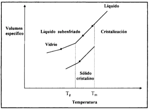Figura  2.1  Relación  Volumen  especifico - Temperatura  en materiales  cristalinos y no cristalinos [  13  J