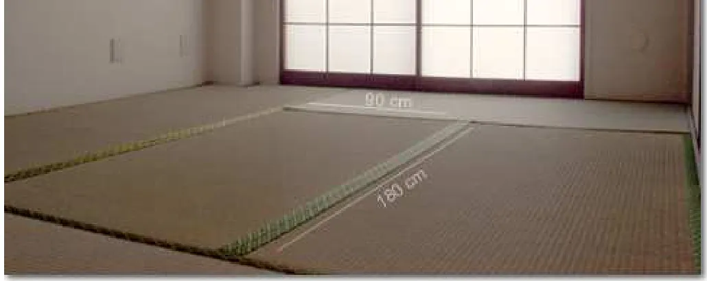 Figura 5: dimensiones del tatami 