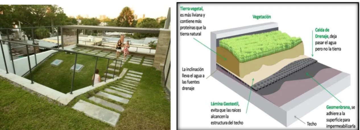 Figura 5. Cubierta Verde 