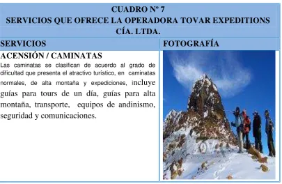 CUADRO Nº 7 