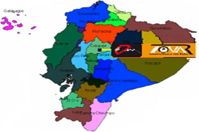 CUADRO Nº 8 