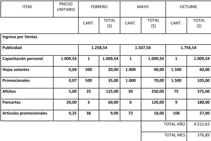 Cuadro N° 7: Total gastos de publicidad. 