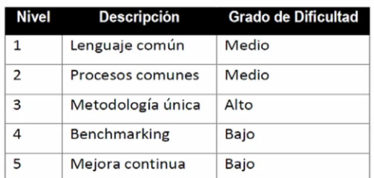 Cuadro 1.  Niveles de madurez, Kerzner.  