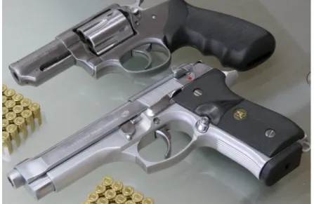 Figura 3: Armas de cañón corto. 