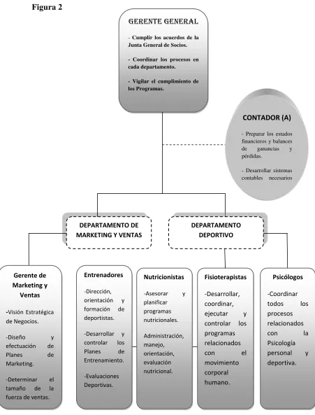 Figura 2 