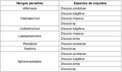 Tabla 4.Hongos identificados en especies de Dracula del orquideario UTPL. 