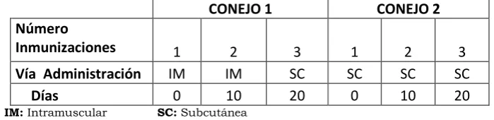 Tabla 1. Protocolos de Inmunización: 