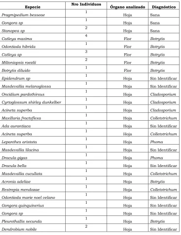 Tabla 6. Diagnóstico de las especies  
