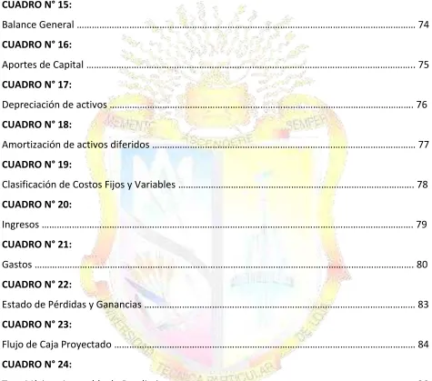 CUADRO N° 15:  