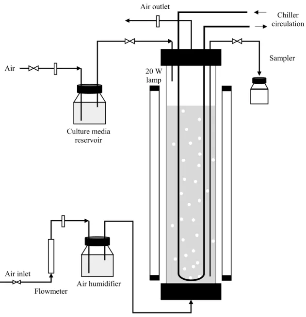 Figure 8. Schematic assembly of the photobioreactor.  