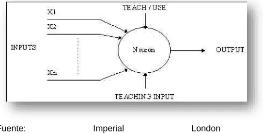 Figura 2 Neurona 