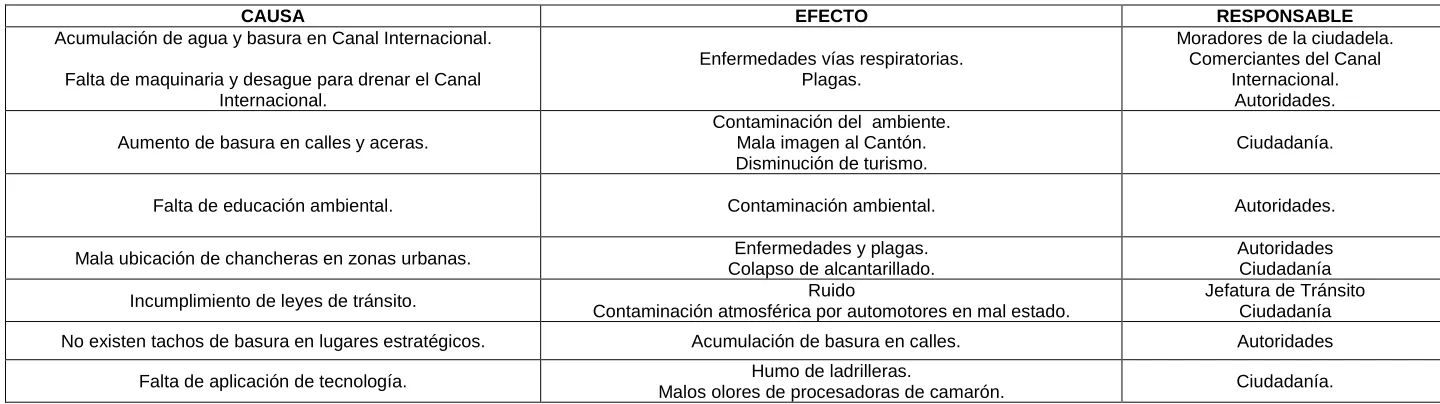 Tabla 5. Resumen de entrevistas a Parroquia Milton Reyes. 