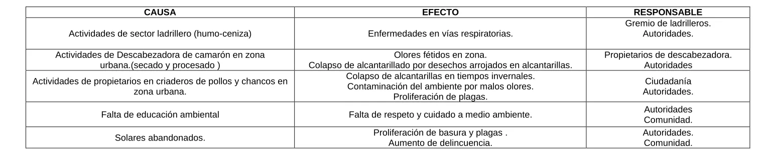 Tabla 8. Resumen de entrevistas a Parroquia Paraíso. 