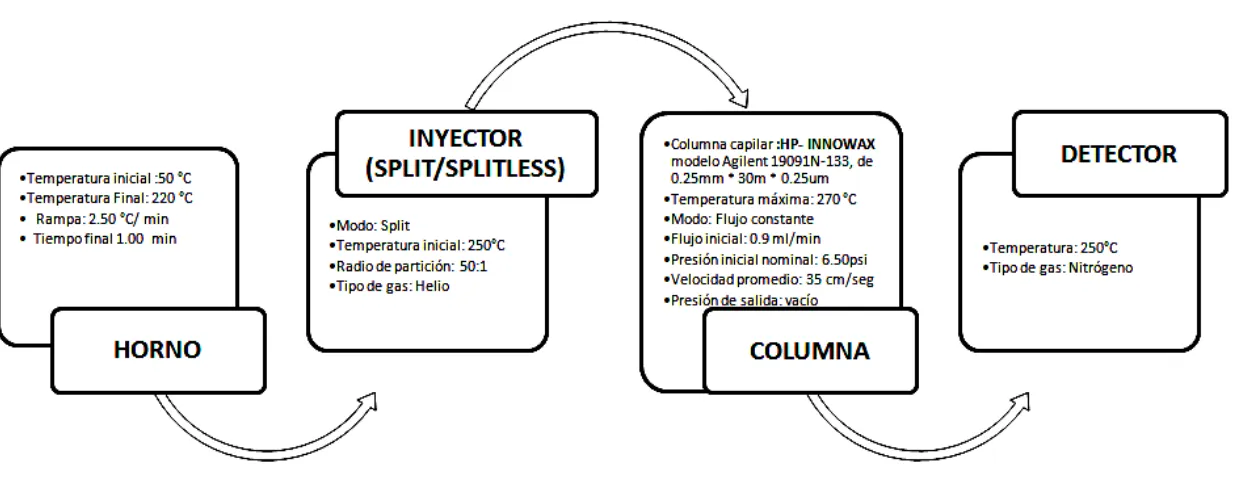 Figura 7.  Parámetros operacionales del CG-MS en la columna HP-INNOWAX. 