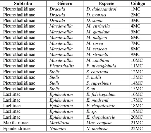 Tabla 1. Orquídeas seleccionadas pertenecientes a las Subtribus Pleurothallidinae, Laeliinae, Maxillariinae 