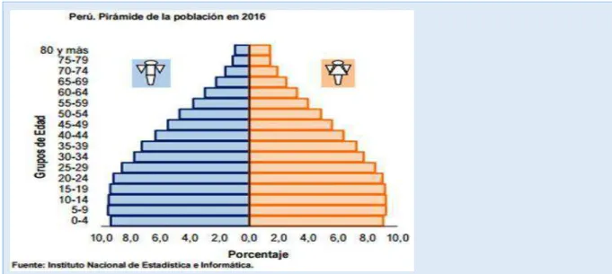Ilustración 54.  Distribución de la población en el Perú por rango de edad y sexo. 