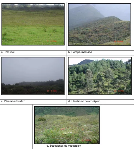 Figura Nº 9: Formaciones vegetales encontrados en la Subcuenca ZH. 