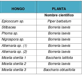 TABLA 3.1. Hongos ensayados en las pruebas de bioactividad.  