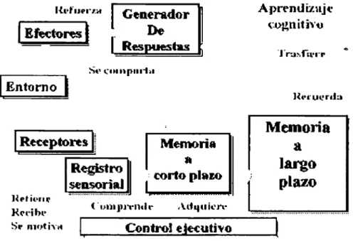Figura  2:  Proceso cognitivo 