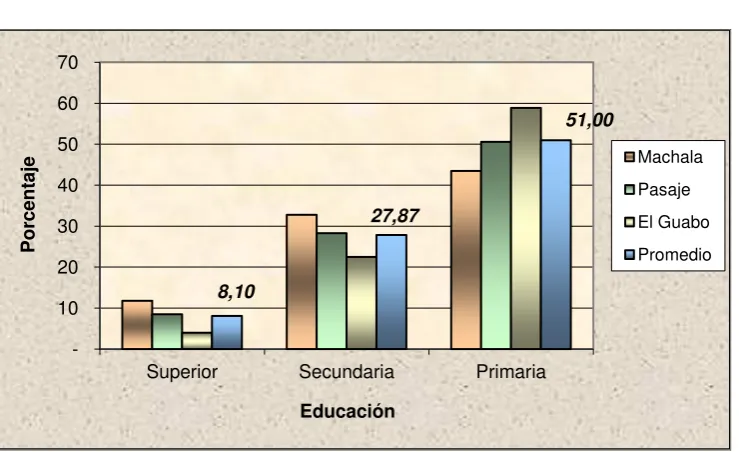 FIGURA 2: NIVEL DE EDUCACIÓN 