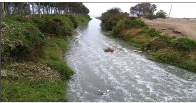 Ilustración 21. Imágenes del tramo del Rio Lurín aledaño al terreno del proyecto. 