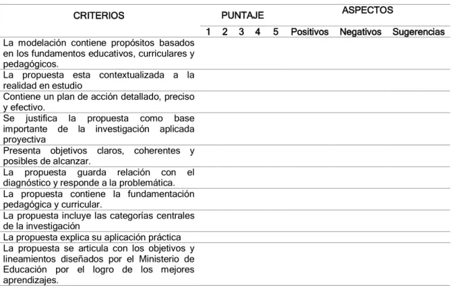 Tabla 13           Matriz de ficha de validación interna. 
