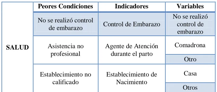 Cuadro 10. Indicadores y variables de Salud 