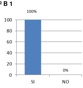 Tabla N° B 1  