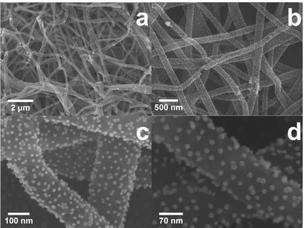 Fig.  3.  SEM  images  of  carbon  nanofibers  decorated  with  AuNPs  at  different  magnifications