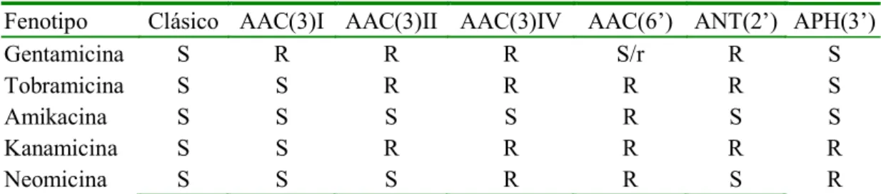 Cuadro 1.  Detección fenotípica de mecanismos de resistencia a aminoglucósidos presentes en  los aislados de Escherichia coli 