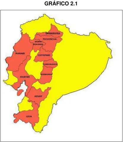 GRÁFICO 2.1 