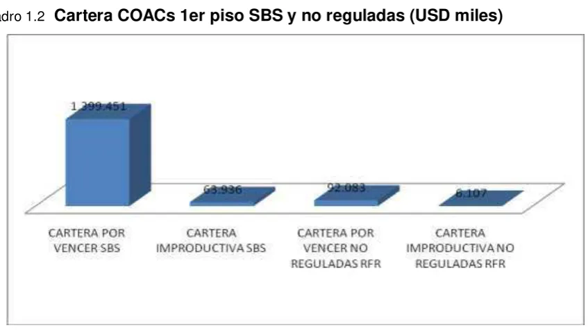 Cuadro 1.1  Miembros de la Red Financiera Rural – marzo 2010 