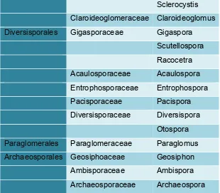 Tabla 1: Clasificación de los hongos  micorrizicos arbusculares 