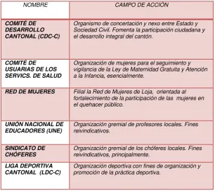 Tabla 7. Organizaciones Relevantes  