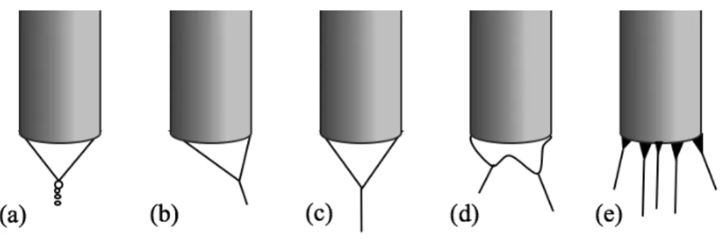 Figure 2. Spraying modes: (a) dripping, (b) spindle, (c) single cone-jey, (d) ramified (e)  multi-jet