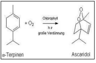 Fig. 4.  Proceso de obtención de ascaridol Fuente: chemikalienlexikon.de 