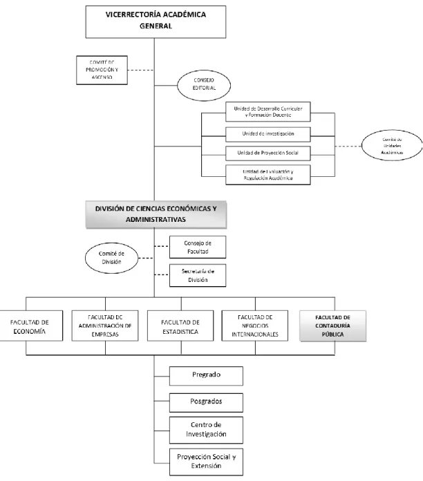 Figura 5 Organigrama de la División de Ciencias Económicas y Administrativas 