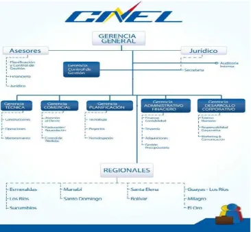 FIG. 2.6. ESTRUCTURA ORGANIZACIONAL - CNEL
