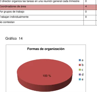 Tabla 14 FORMA DE ORGANIZACIÓN DE LOS EQUIPOS DE TRABAJO EN EL CENTRO 