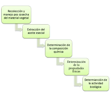 Figura 5. Esquema del desarrollo de la Investigación.Elaboración: El autor.  