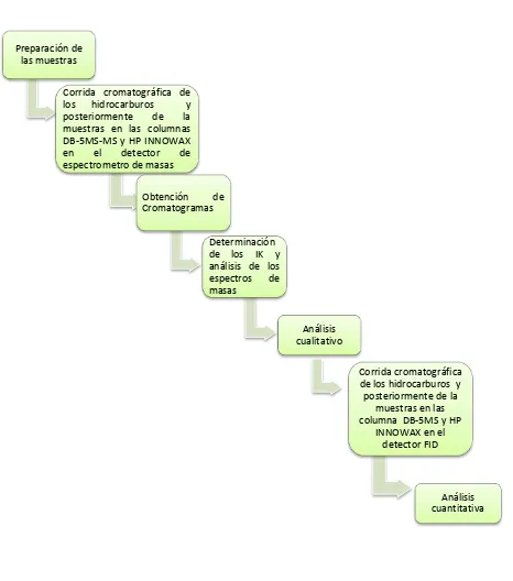 Figura 7. Esquema para la identificación de los componentes químicos del aceite esencial