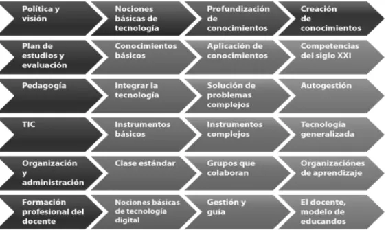 Figura 4. Enfoques del ECD-TIC por la UNESCO 
