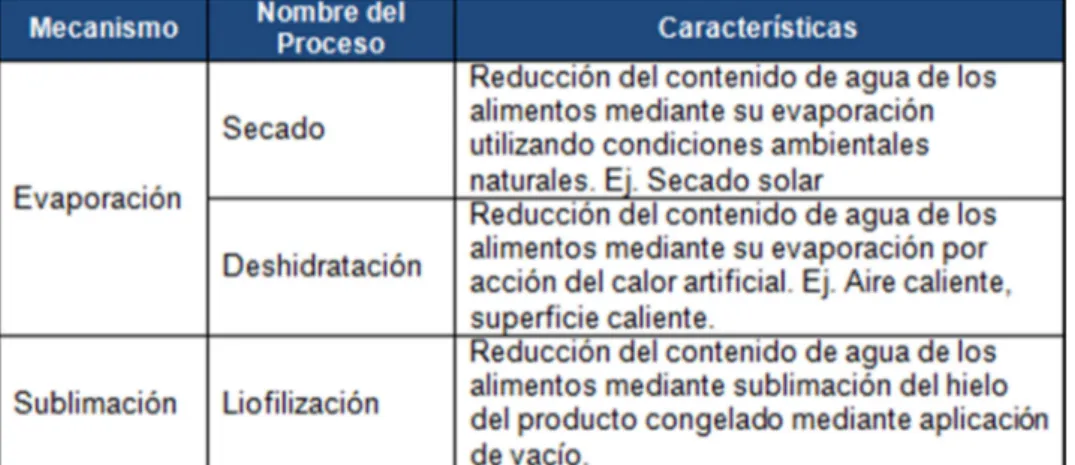Tabla 3. Procesos de remoción del agua de un alimento  Fuente: Colina, M. 2010. 