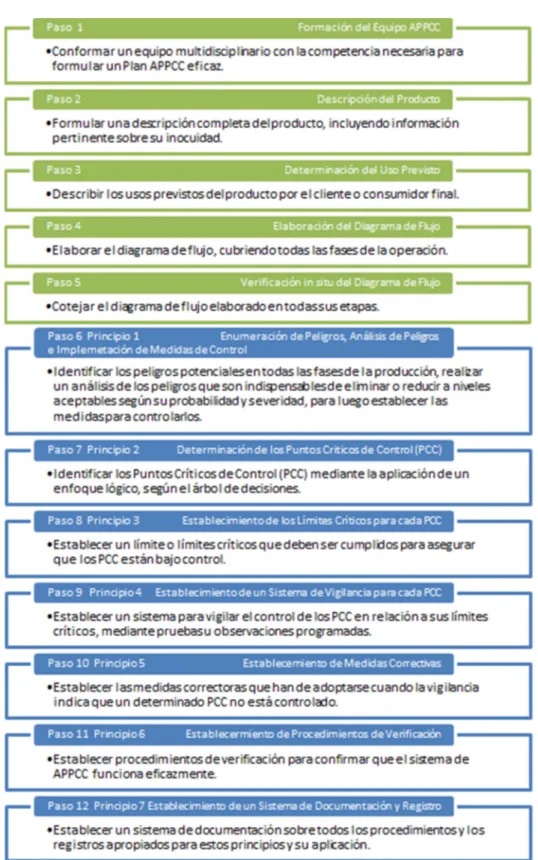 Figura 9. Pasos y Principios del Sistema HACCP  Fuente: FAO. 2002. 