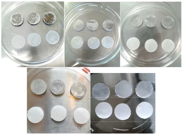 Figure 4.4 Samples of PLA and AZ31 after each immersion period of thedegradation test 